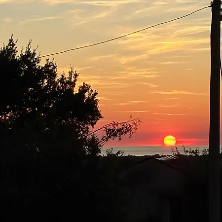 Veronica * Poreč