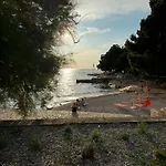 Veronica Daire Poreč