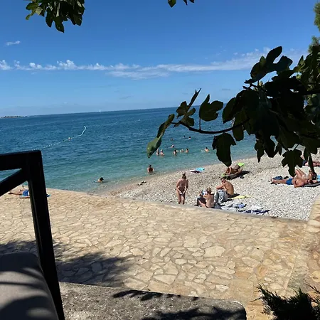 Veronica Πόρετς