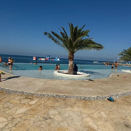 Veronica Πόρετς