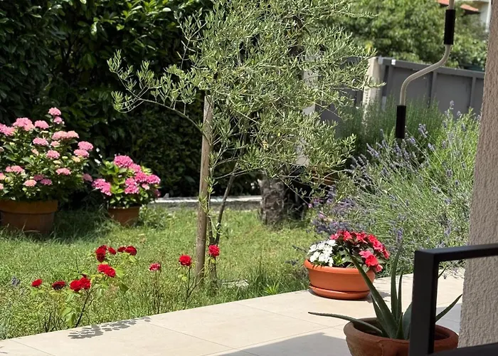 Διαμέρισμα Veronica *