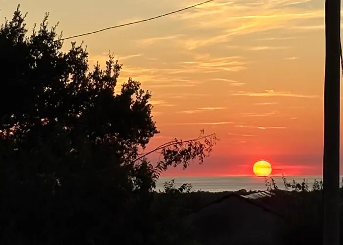 Veronica * Porec